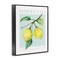 Stupell Industries Sorrento Lemon Branch Framed Giclee Wall Art Design by Reinders